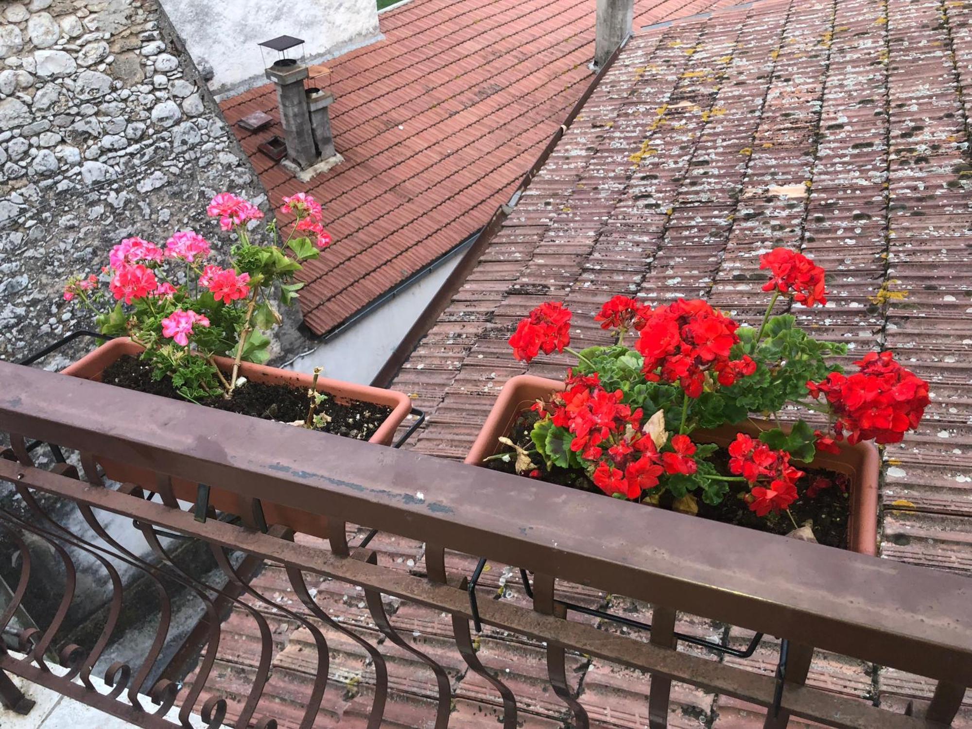 Pozzilli Bed And Breakfast Il Cavaliere מראה חיצוני תמונה